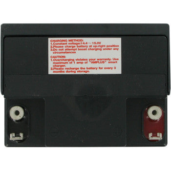 Parts Unlimited 2113 0094 Factory Activated AGM Battery YIX30L High Power Maintenance Free Fits Harley Touring Road Glide Street Glide Tri Glide CVO Polaris Sportsman BMW R100 R80 Moto Guzzi LeMans