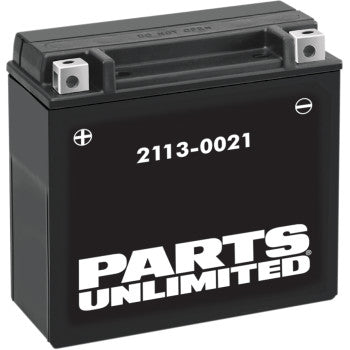 PARTS UNLIMITED BATTERIES 2113-0021 AGM Maintenance-Free Battery YTX20H-BS .95 L - JT Cycle & ATV