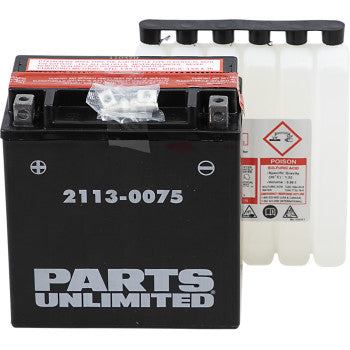 PARTS UNLIMITED BATTERIES 2113-0075 AGM Maintenance-Free AGM Battery - YTX20CHBS .80 L - JT Cycle & ATV