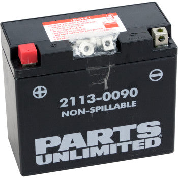 PARTS UNLIMITED BATTERIES 2113-0090 Factory-Activated AGM Maintenance-Free AGM Battery - YT12B4/YT12B-BS - JT Cycle & ATV