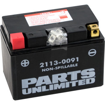 PARTS UNLIMITED BATTERIES 2113-0091 Factory-Activated AGM Maintenance-Free Battery YTZ12S - JT Cycle & ATV
