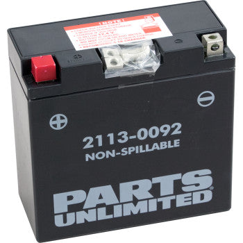 PARTS UNLIMITED BATTERIES 2113-0092 Factory-Activated AGM Maintenance-Free AGM Battery - YT14B4 - JT Cycle & ATV