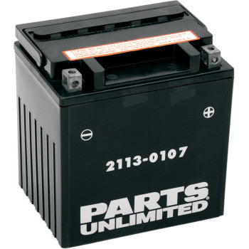 PARTS UNLIMITED BATTERIES 2113-0107 AGM Maintenance-Free AGM Battery - YIX30L-BS - JT Cycle & ATV