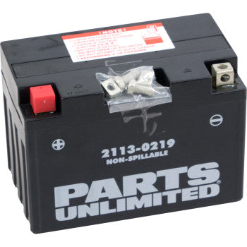 PARTS UNLIMITED BATTERIES 2113-0219 Factory-Activated AGM Maintenance-Free Battery YT12A-B - JT Cycle & ATV