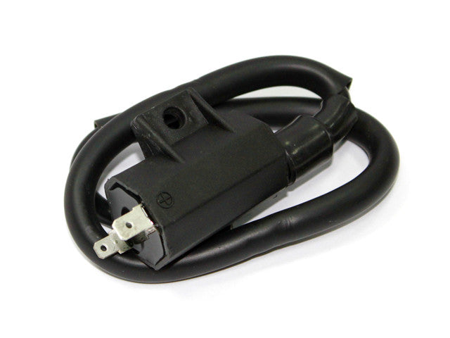 Ignition Coil for Kawasaki KLF220 KLF250 Bayou 220 250 KRF750 Teryx 750 and other Kawasaki ATV models