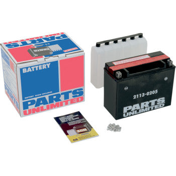PARTS UNLIMITED BATTERIES 2113-0205 AGM Maintenance-Free Battery YTX24HL-BS - JT Cycle & ATV