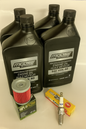 Suzuki LTF250 LTF300 LT4WD QuadRunner KingQuad Oil Change Tune Up Kit NGK Service Maintenance