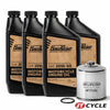 HardDrive Harley Twin Cam 99‑17 Oil Change Kit with Chrome HF171CRC Filter