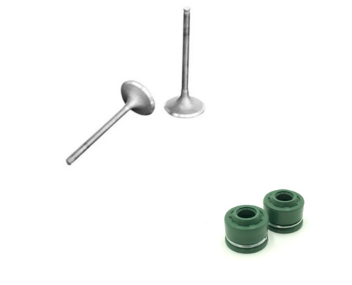 New Aftermarket Intake and Exhaust Valve Set with Oil Seals for Honda FatCat TR200 1986-1987
