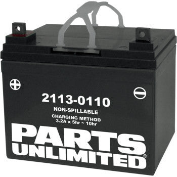 PARTS UNLIMITED BATTERIES 2113-0110 Factory-Activated AGM Maintenance-Free Battery U1-32 Yamaha Rhino - JT Cycle & ATV