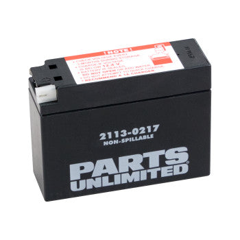 PARTS UNLIMITED BATTERIES 2113-0217Factory-Activated AGM Maintenance-Free AGM Battery - YT4B-BS - JT Cycle & ATV