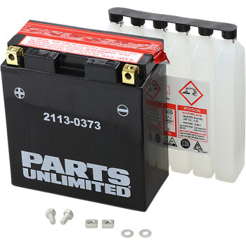 PARTS UNLIMITED BATTERIES 2113-0373 AGM Maintenance-Free Battery YT14B-BS - JT Cycle & ATV
