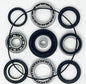 Quality Rear Differential & Axle Bearing and Seal Kit for the 1988-2000 Honda TRX 300 2x4 4x4 FW ATVs