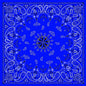 Zan Headgear Premium Bandanna, 100% Cotton - JT Cycle & ATV