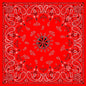 Zan Headgear Premium Bandanna, 100% Cotton - JT Cycle & ATV