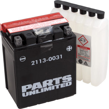 PARTS UNLIMITED BATTERIES 2113-0031 AGM Maintenance-Free Battery YTX14AHLBS .732 L - JT Cycle & ATV