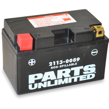 PARTS UNLIMITED BATTERIES 2113-0089 Factory-Activated AGM Maintenance-Free AGM Battery - YTZ10S - JT Cycle & ATV