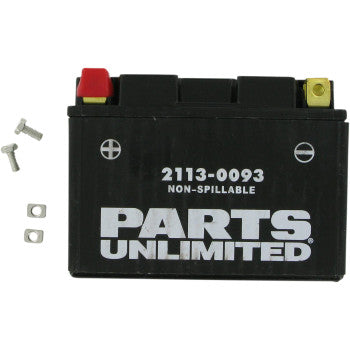 PARTS UNLIMITED BATTERIES 2113-0093 Factory-Activated AGM Maintenance-Free AGM Battery - YTZ14S - JT Cycle & ATV