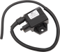 RICK'S MOTORSPORT ELECTRIC ignition Coil for Suzuki LT80 QuadSport